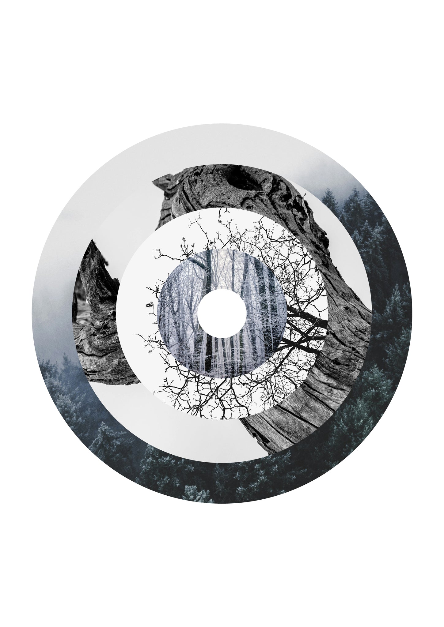 Deconstructed Forest #2