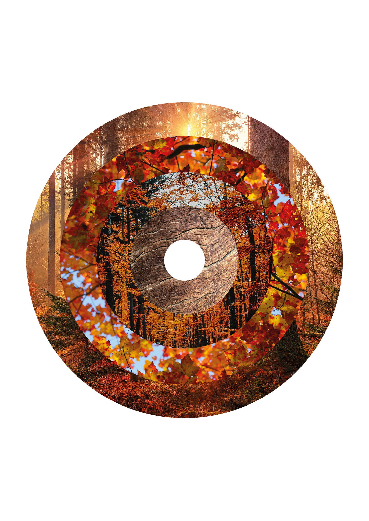 Deconstructed Forest #6