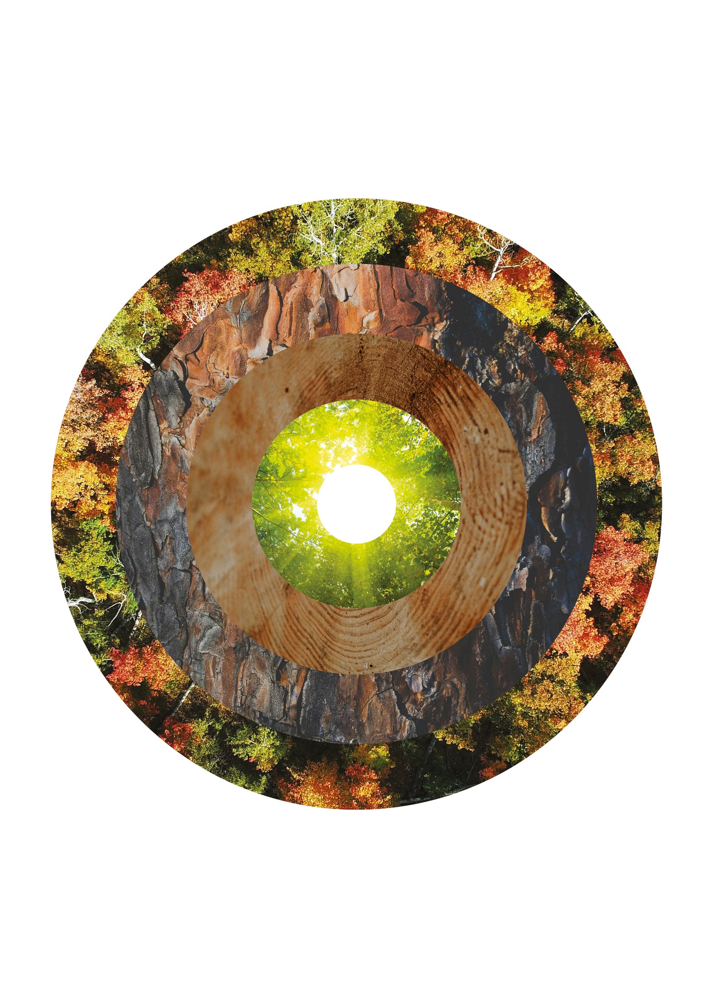 Deconstructed Forest #1
