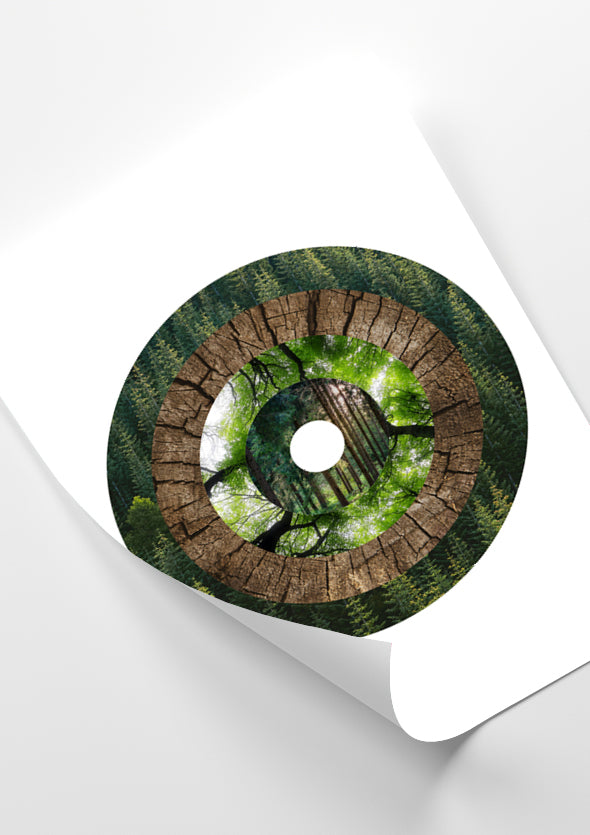 Deconstructed Forest #5